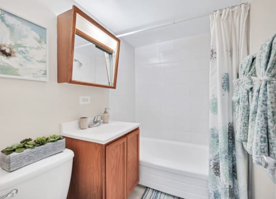 a bathroom with a white toilet next to a bathtub