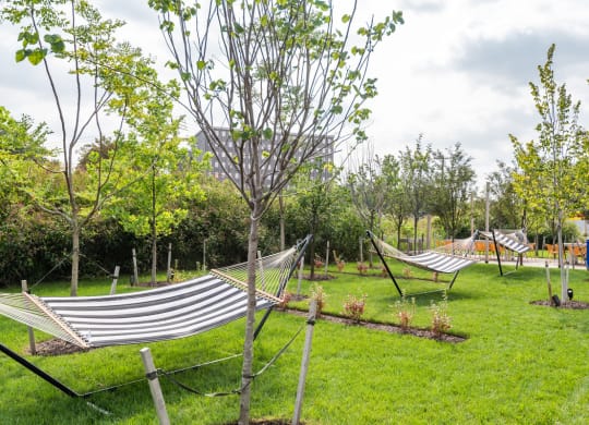 mission lofts outdoor hammocks