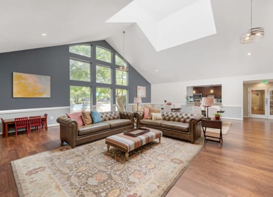 a living room with two couches and a rug