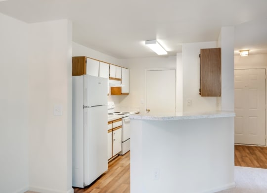 a kitchen with a white refrigerator and a counter top