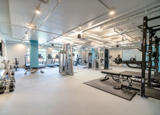 a gym with a lot of weights and exercise equipment