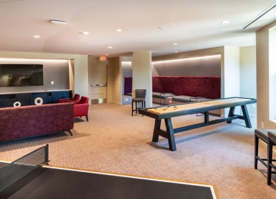 a games room with a ping pong table and a television