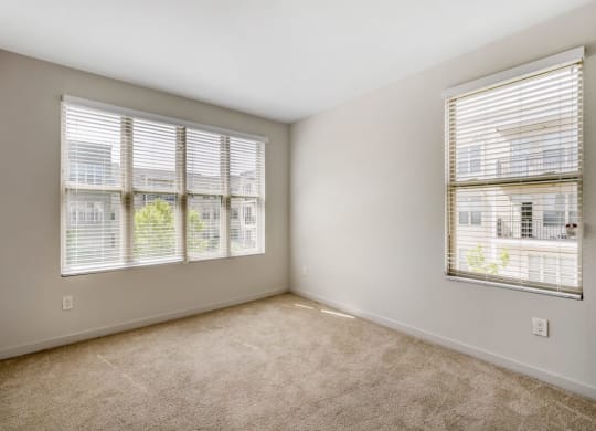 a living room with two windows and a carpeted floor