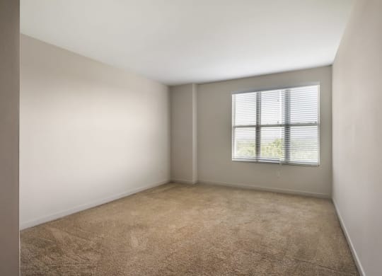 an empty room with a window and carpet