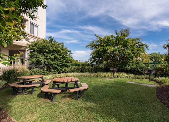 Picnic tables are set up in a grassy area.