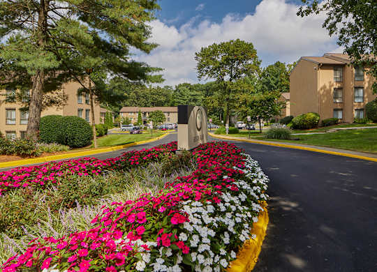 A road with a flower bed in front of a building.