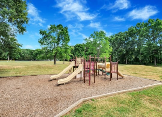 a playground in a park with trees in the background
