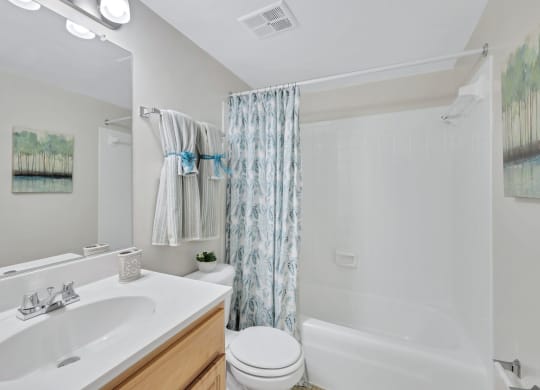 a bathroom with a sink toilet and bathtub