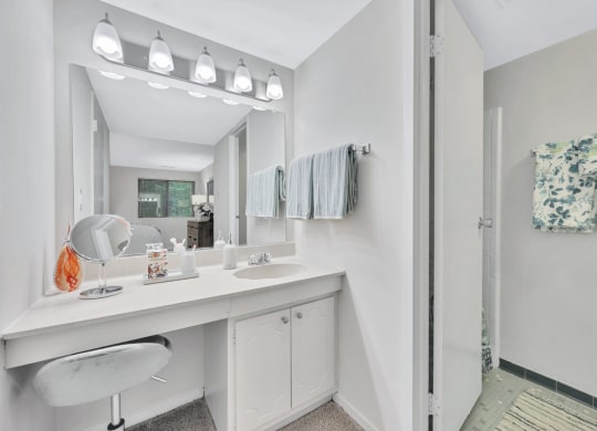 a bathroom with a sink and a shower