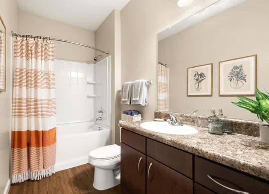 a bathroom with a shower toilet and sink and a mirror