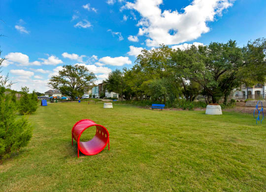 Dog Park
