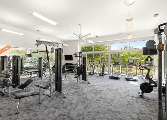 a gym with weights and cardio equipment in a building with large windows