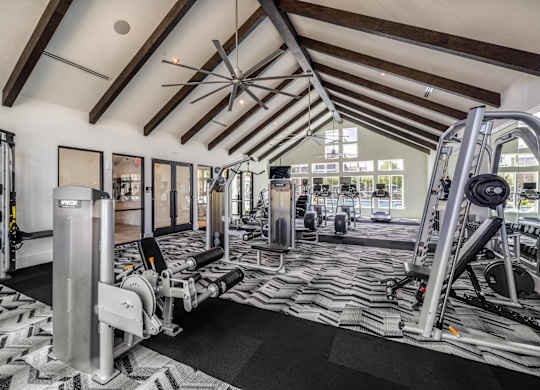 A gym with a variety of equipment including a treadmill, weights, and a bench press.