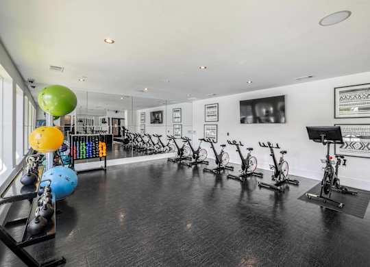 A gym with exercise equipment and a wall of pictures.