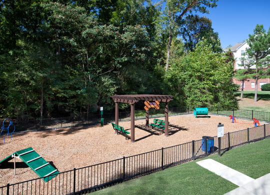 Dog Park