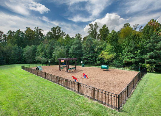 Dog Park