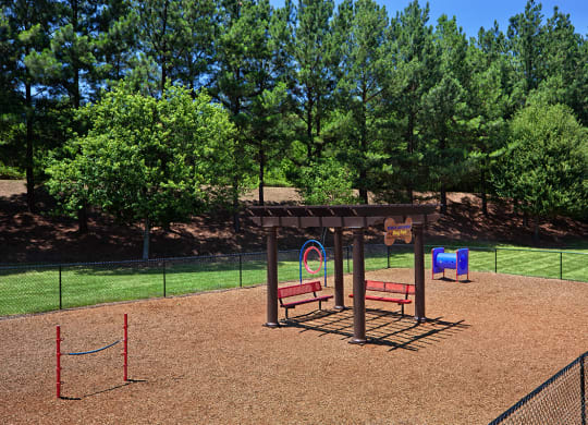 Dog Park