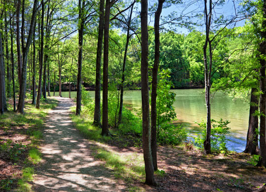 Lakeside Walking Trails