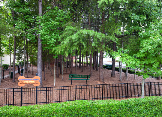 Dog Park