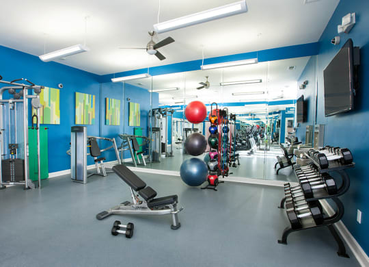 24-Hour Cardio and Strength Training Fitness Center