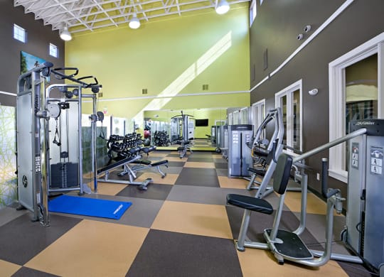 Two 24-Hour Cardio and Strength Training Fitness Centers