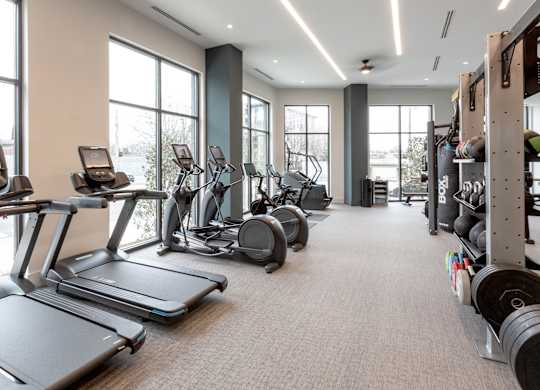 the gym with treadmills and weights at the belgard apartments
