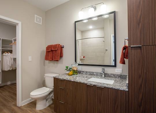 a bathroom with a sink and a toilet and a mirror