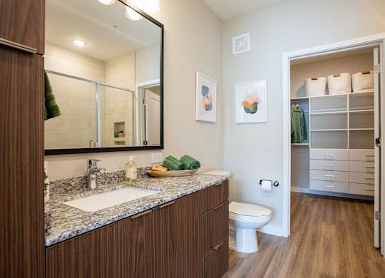 a bathroom with a sink and a toilet and a mirror
