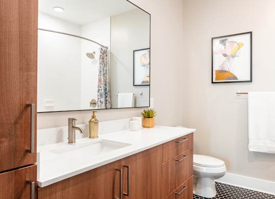 a bathroom with a sink and a mirror and a toilet