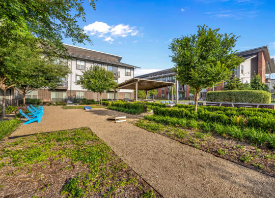 Yard Game and Lounge Area