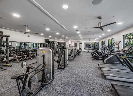 A gym with a variety of equipment including treadmills, elliptical machines, and a fan.