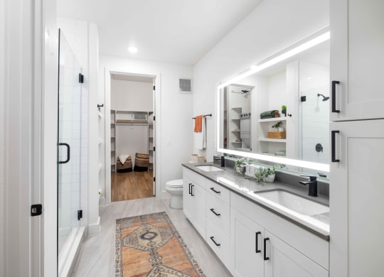 a bathroom with a sink and a mirror and a shower