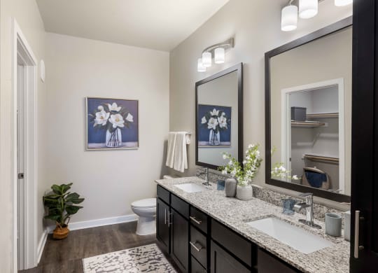 a bathroom with two sinks and a mirror