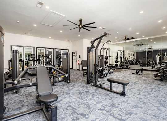 A gym with a variety of equipment including a bench, weights, and a ceiling fan.