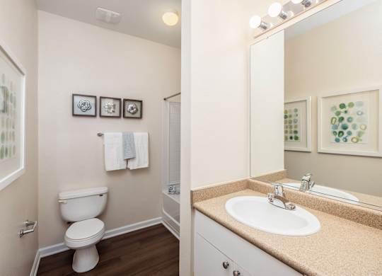 A bathroom with a toilet, sink, and mirror.