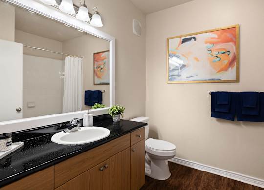 A bathroom with a white toilet, a sink, and a painting on the wall.