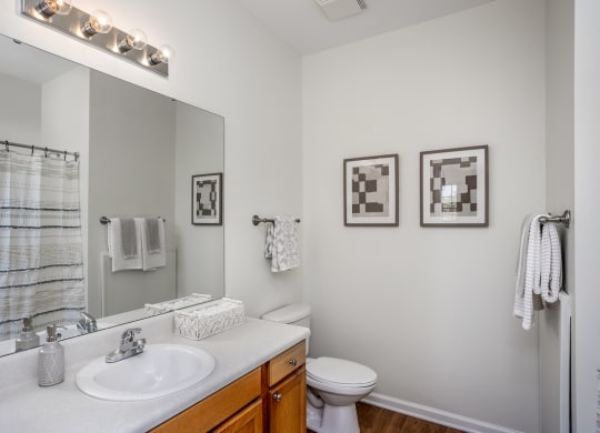 a bathroom with a large mirror and a toilet next to a sink