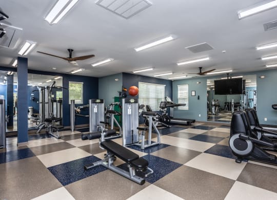 a large fitness room with weights and cardio equipment