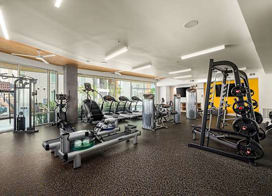 A gym with a variety of equipment including treadmills, weights, and exercise machines.