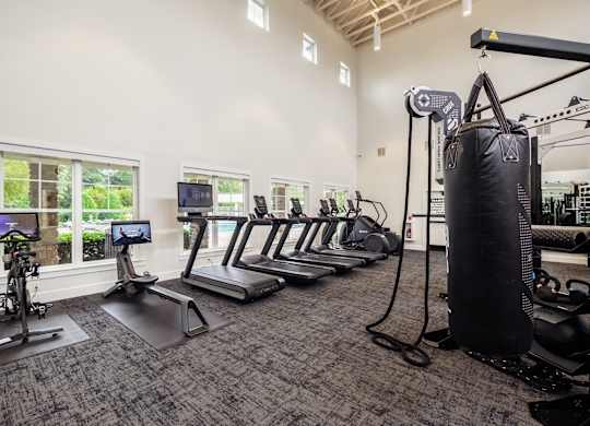 the gym with cardio equipment at the preserve at polk apartments