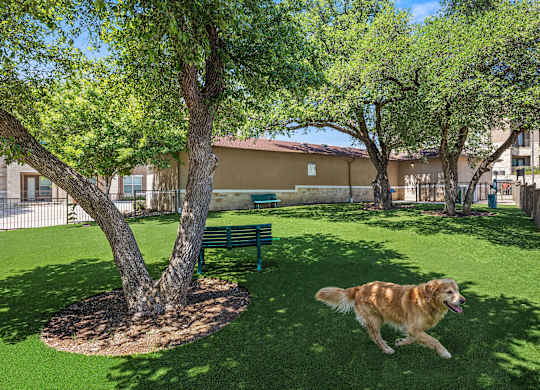 A dog is running in a grassy area with trees and a bench.