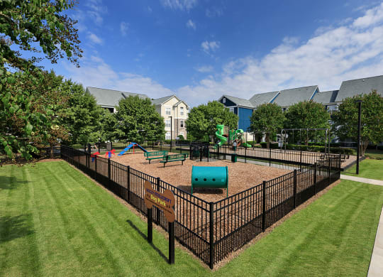 Dog Park