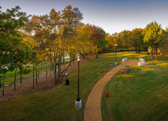 Dog Park