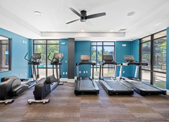 the gym has plenty of cardio equipment and windows