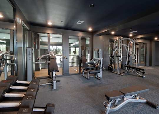 a gym with a lot of equipment and mirrors