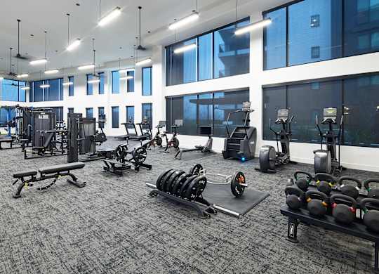 A gym with a variety of equipment including weights and cardio machines.