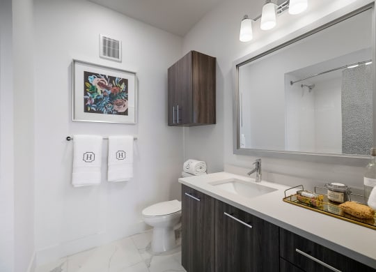 a bathroom with a sink and a toilet and a mirror