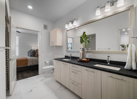 a bathroom with a sink and a toilet and a mirror