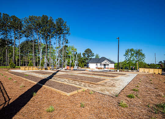 a view of the vegetable garden with the greenhouse in the background