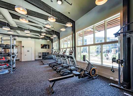 a room filled with cardio equipment and large windows